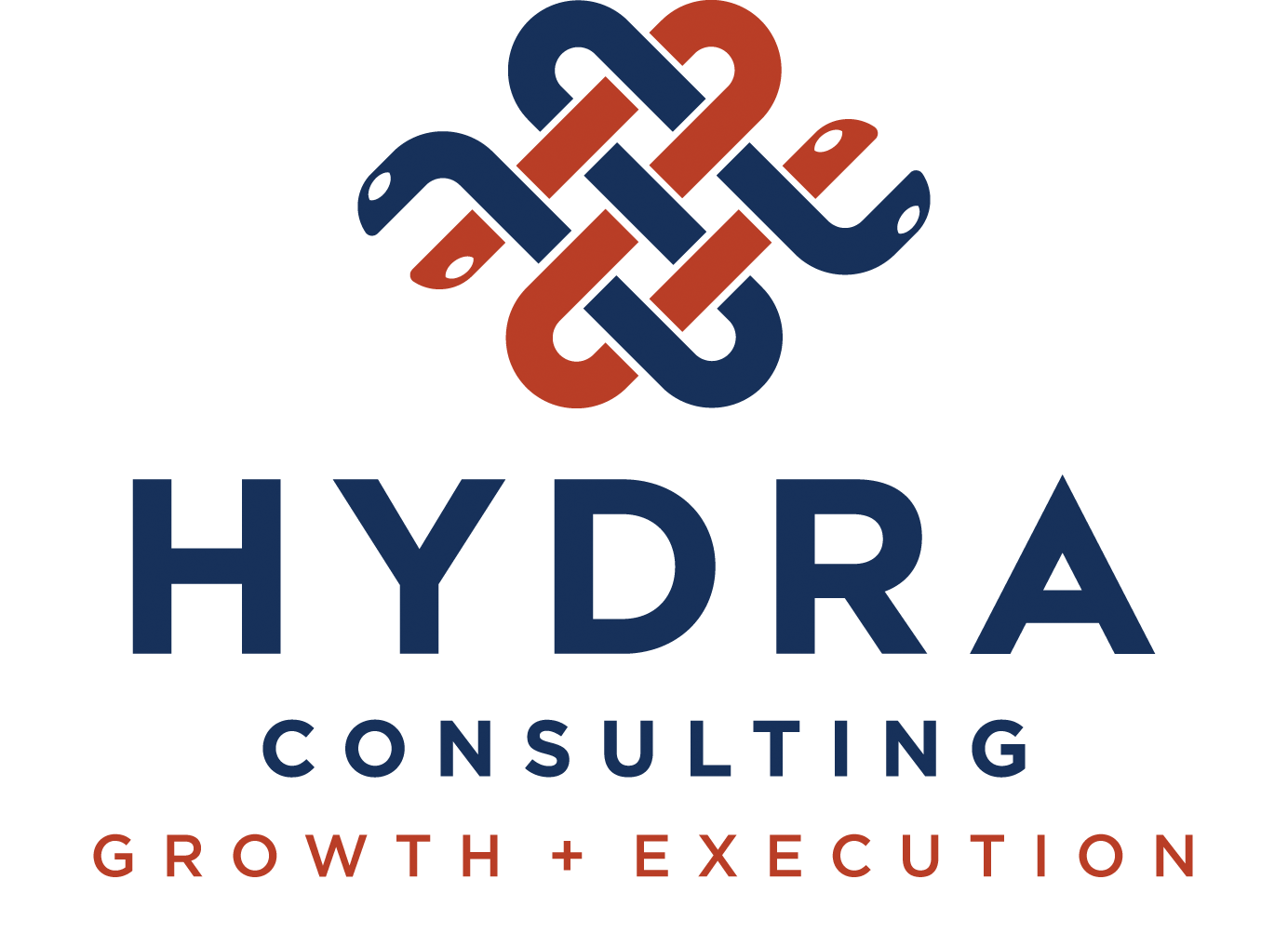 Hydra Consulting - Logo